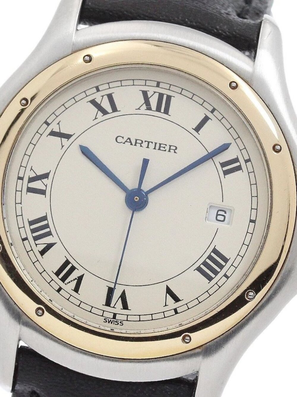 CARTIER PANTHERE Cougar LM W350068F Silver Dial Quartz Men's Watch_959802